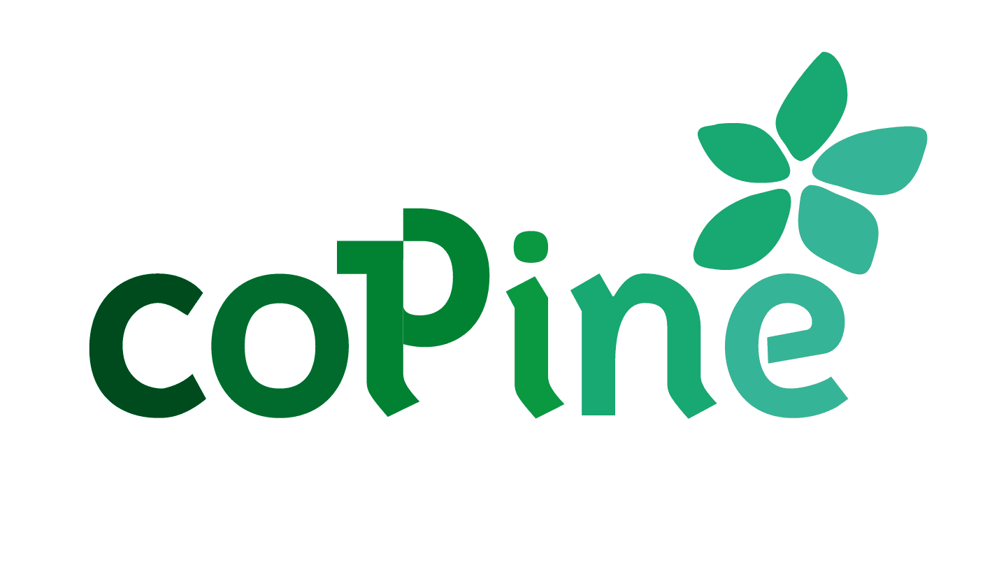 coPinè